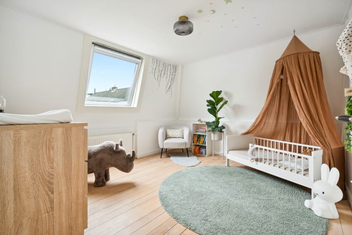 Foto 47 van Mecklenburgstraat 49