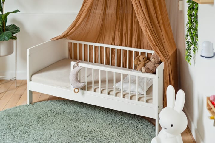 Foto 49 van Mecklenburgstraat 49