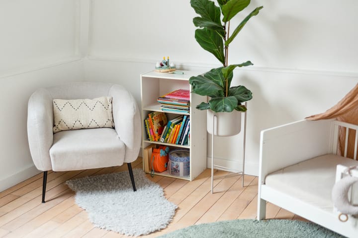 Foto 50 van Mecklenburgstraat 49