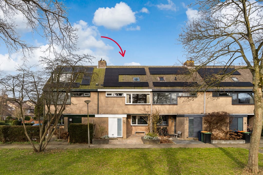 Foto 1 van Vlinderslag 3