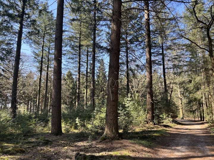 Foto 27 van Putterlaan 85