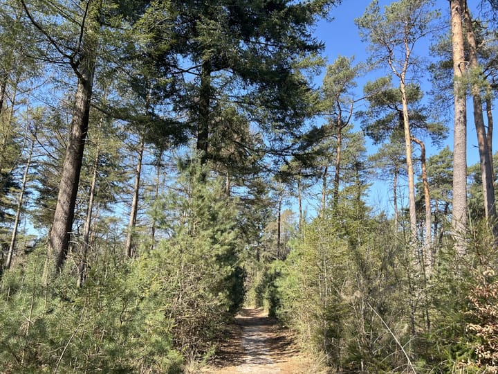 Foto 28 van Putterlaan 85