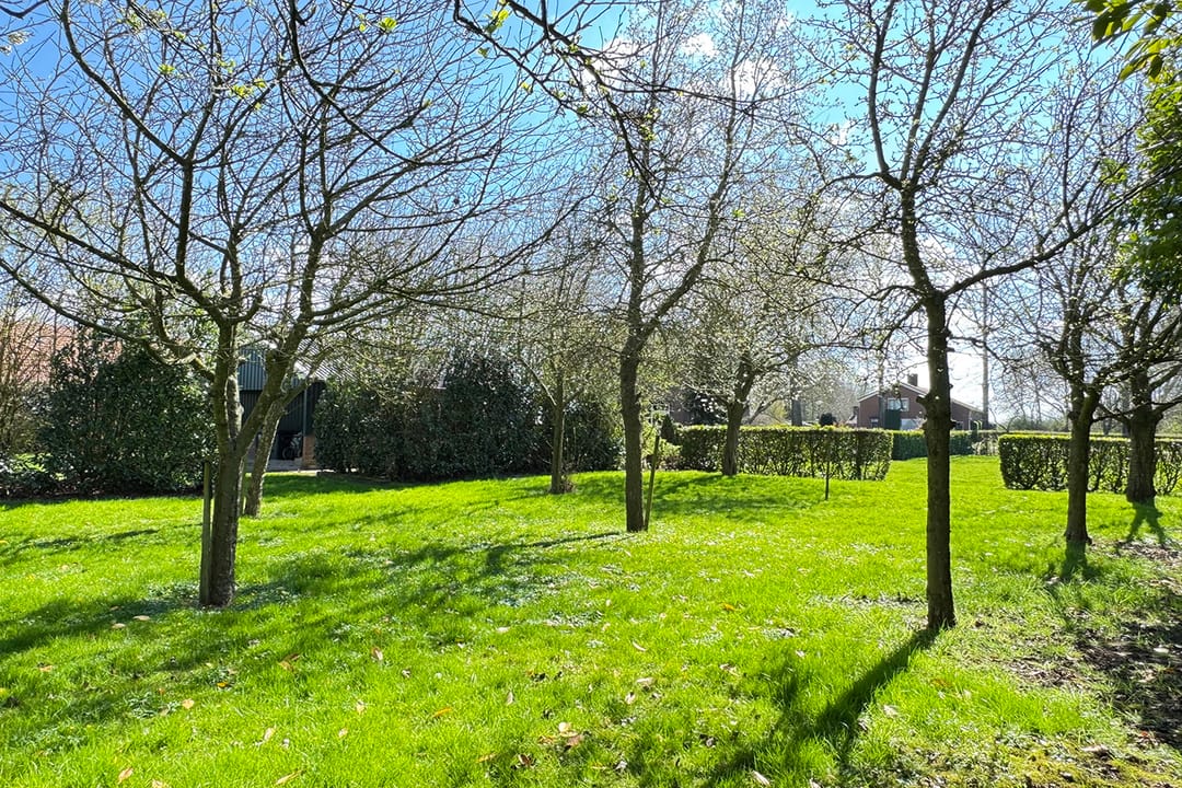 Foto 46 van Drielse Veldweg 6