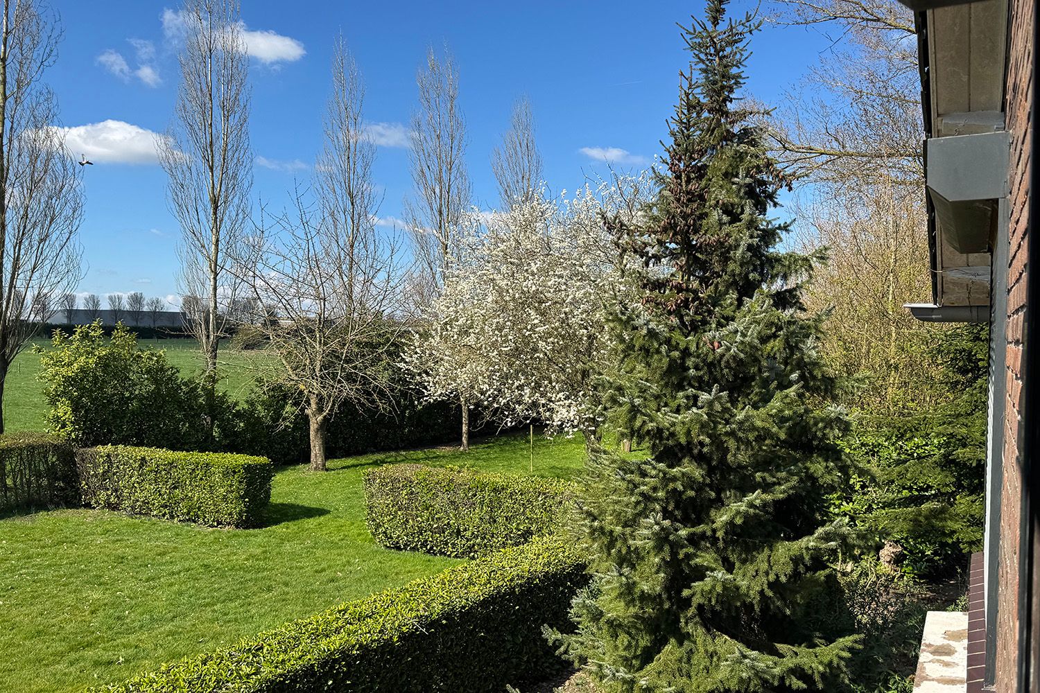 Foto 48 van Drielse Veldweg 6