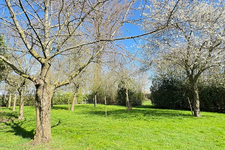 Foto 45 van Drielse Veldweg 6