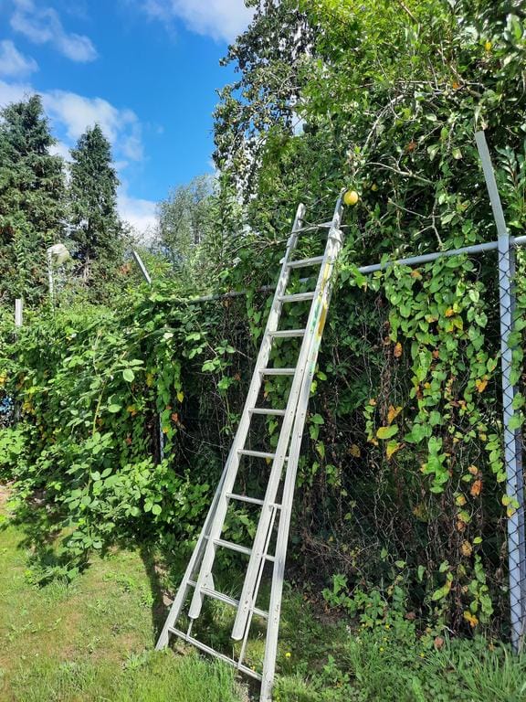 Foto 48 van Hunzeweg 22