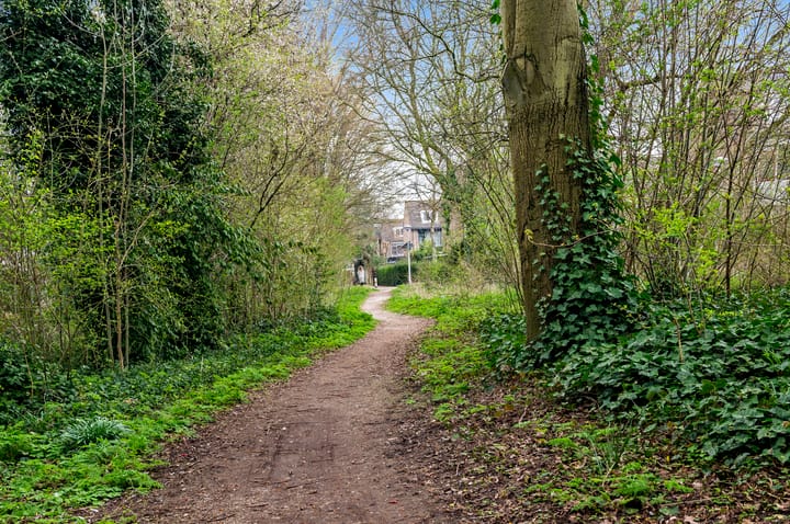 Foto 47 van Eisenhowerlaan 55