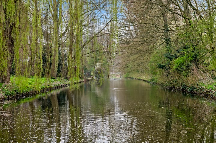 Foto 49 van Eisenhowerlaan 55