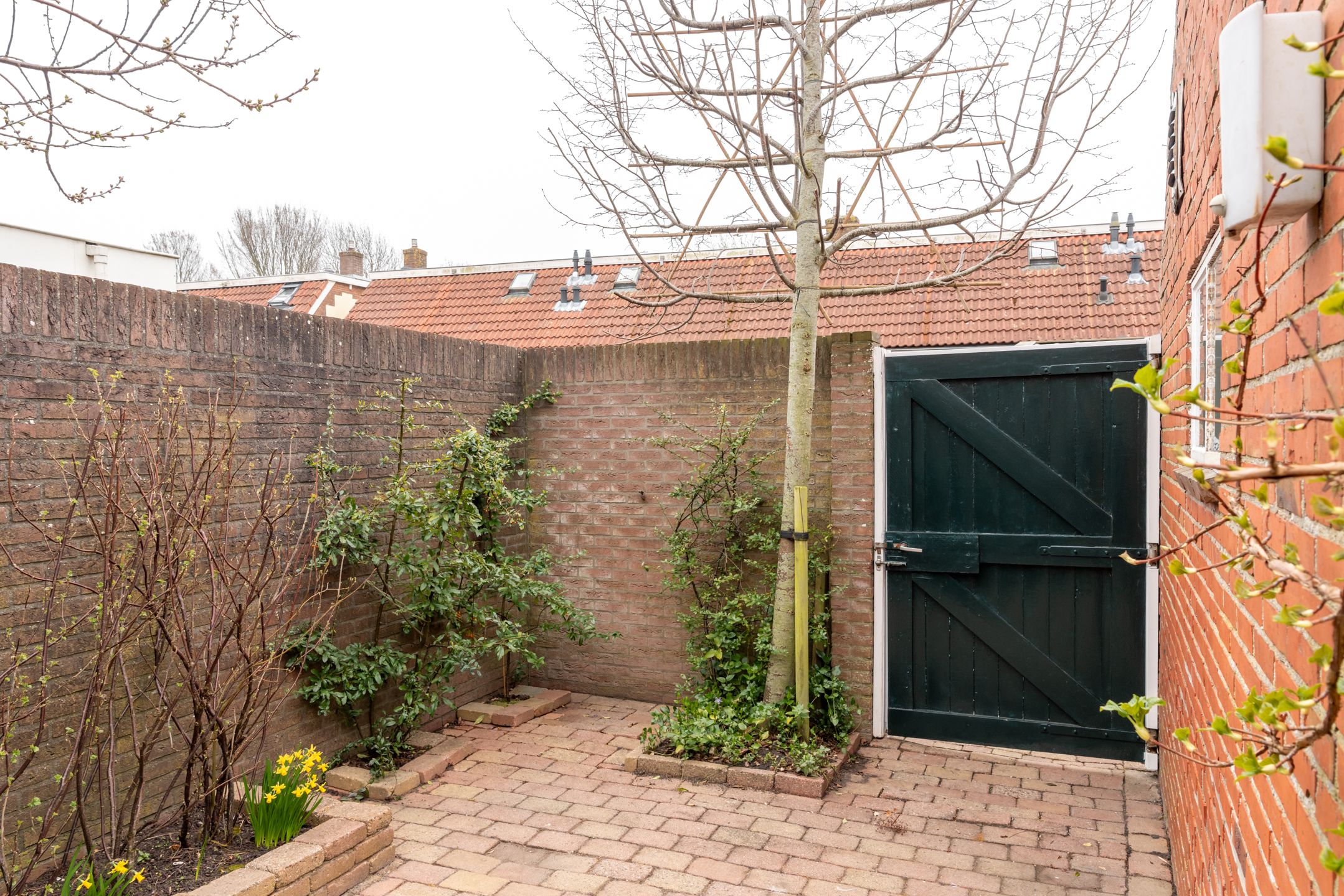 Photo 15 of Willem Lodewijkstraat 18