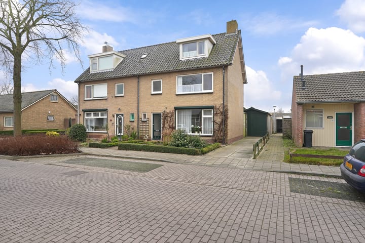 undefined main image