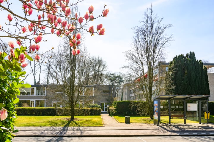 Photo 37 of Soestdijkerstraatweg 82-A