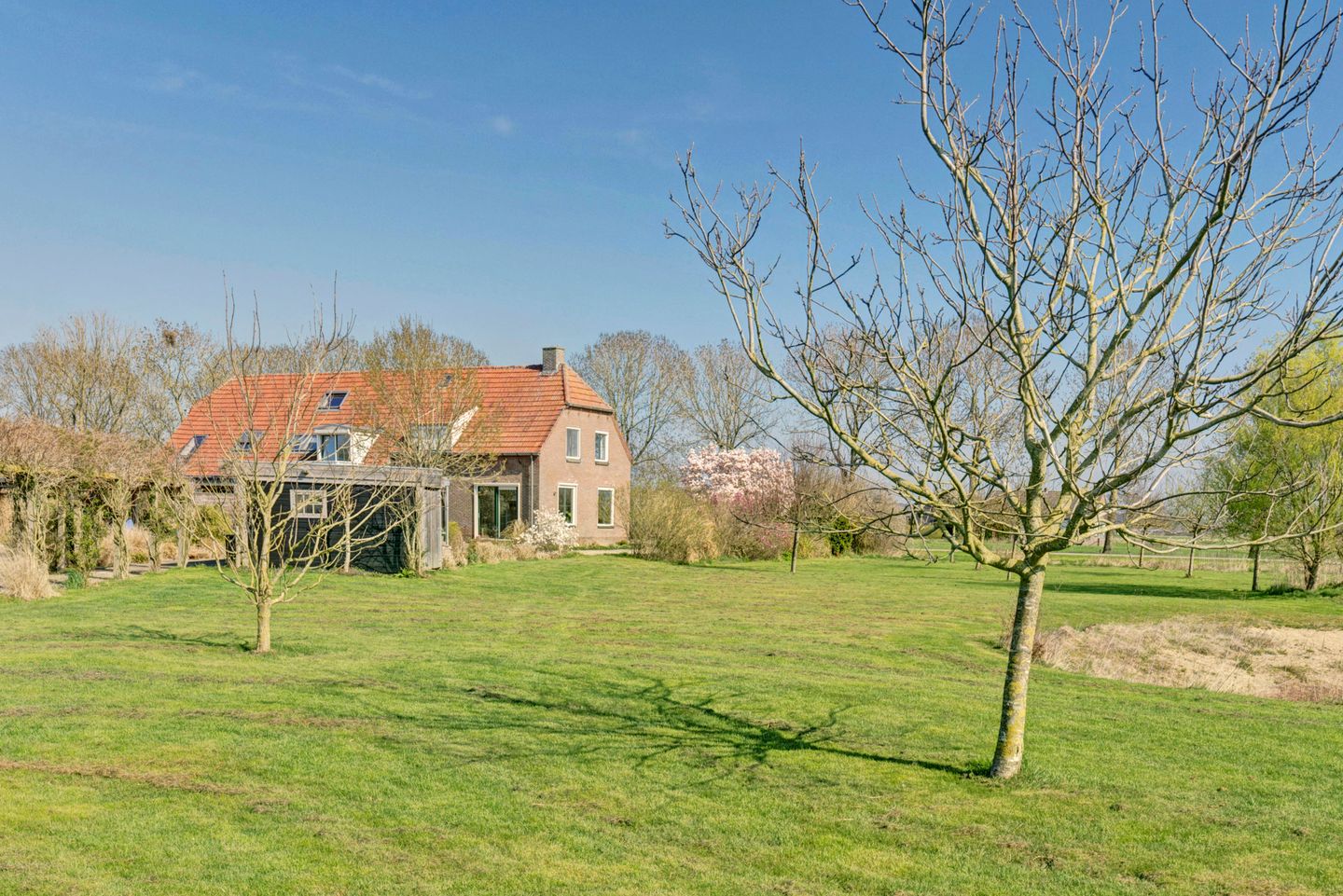 Foto 50 van Homoetsestraat 31-A