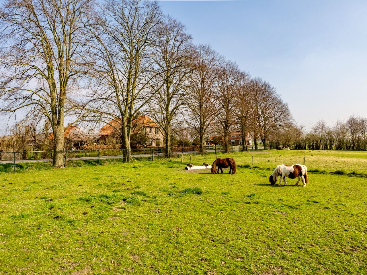 Foto 34 van Breedlersestraat 20