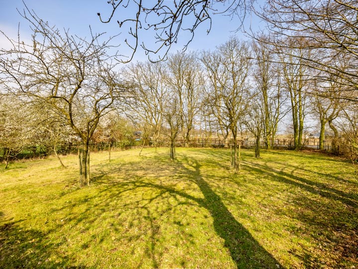 Foto 35 van Breedlersestraat 20