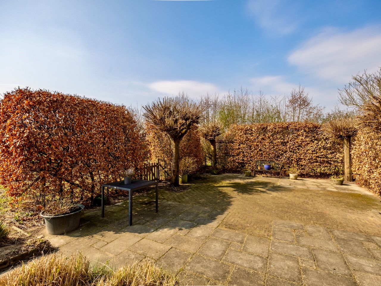 Foto 36 van Breedlersestraat 20