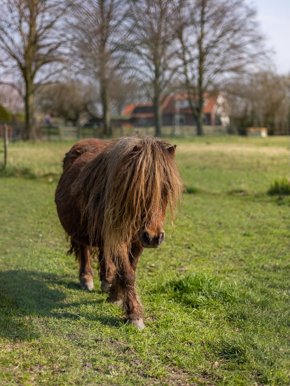 Foto 38 van Breedlersestraat 20