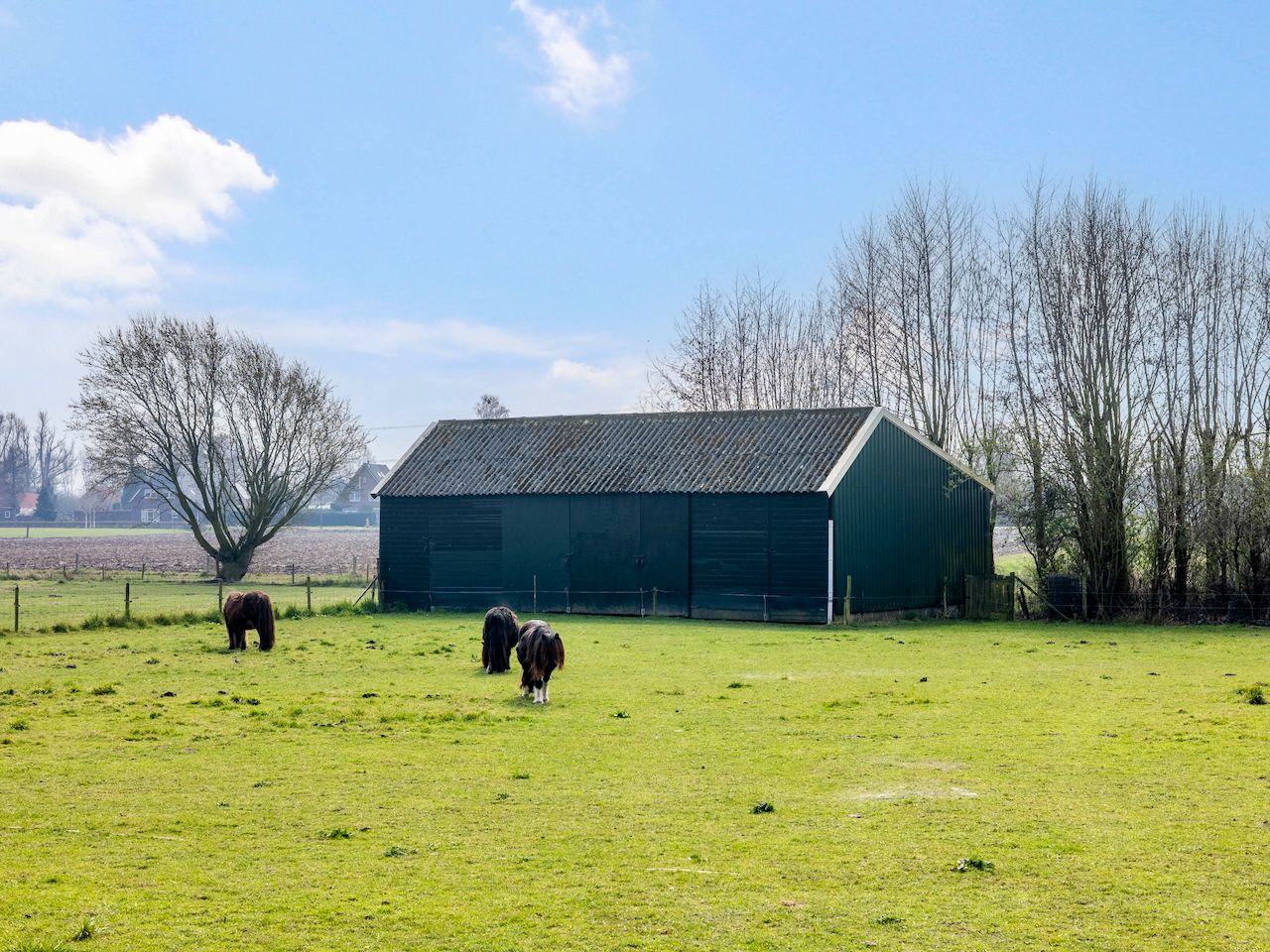 Foto 39 van Breedlersestraat 20