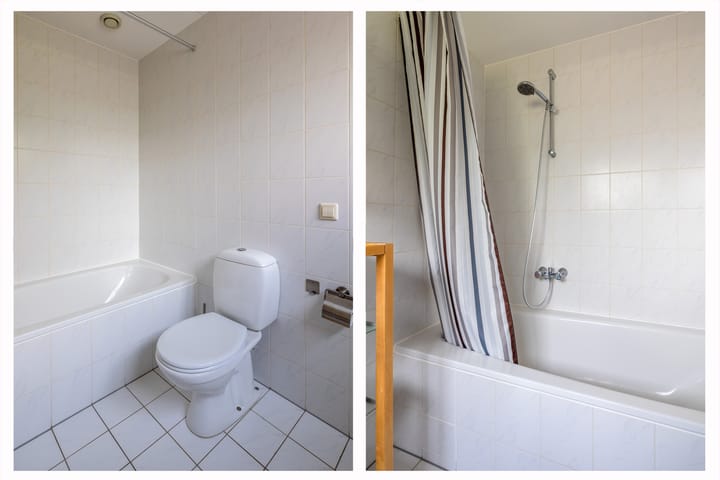 Foto 20 van Groenpootruiter 59