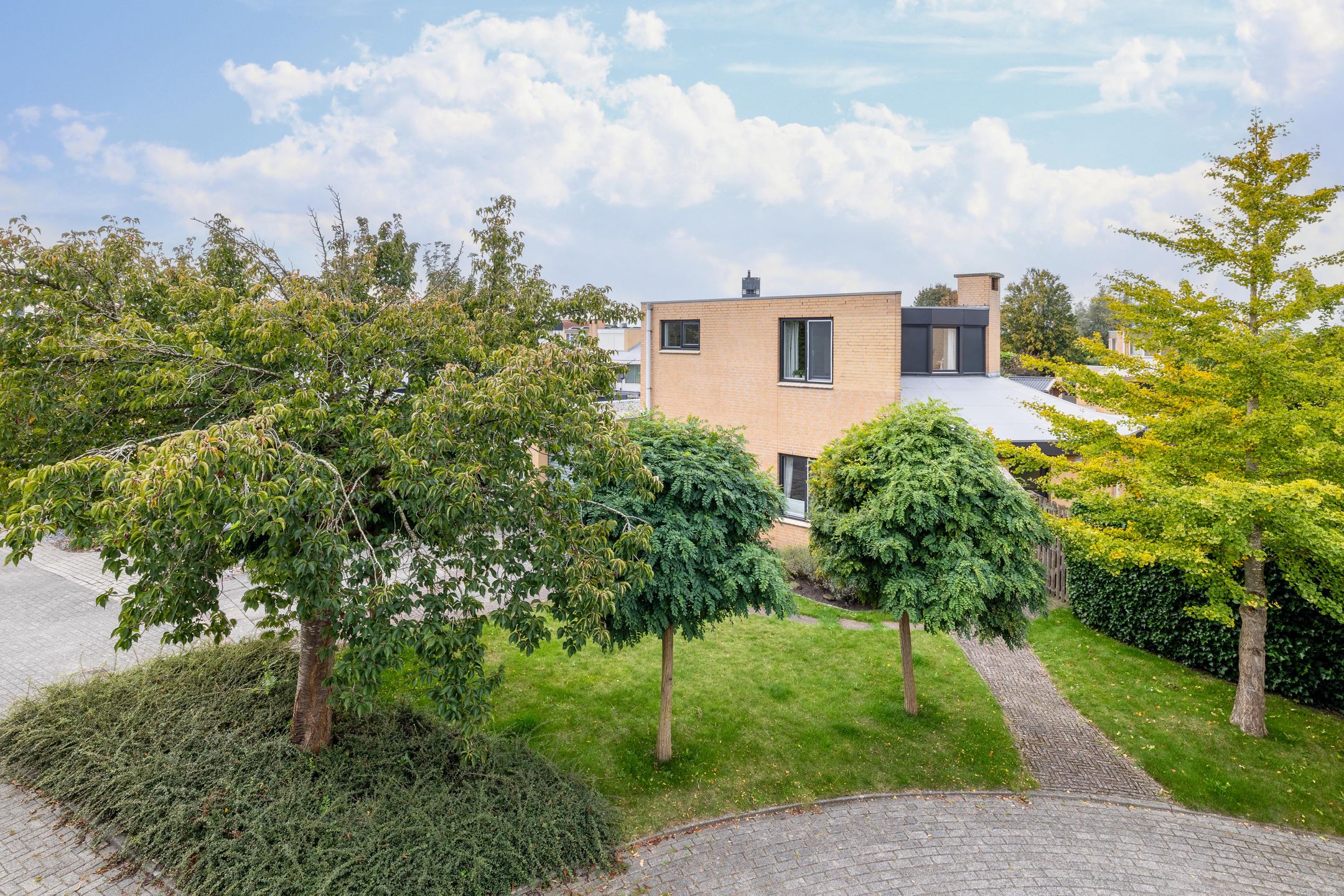 Foto 39 van Groenpootruiter 59