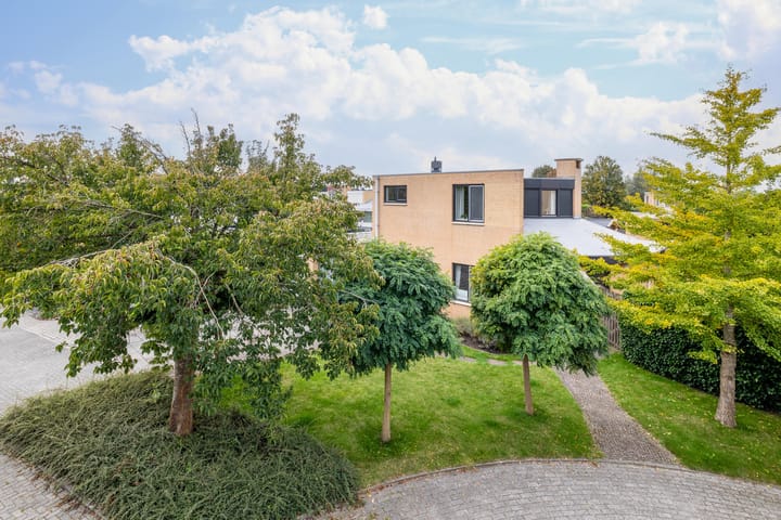 Foto 39 van Groenpootruiter 59