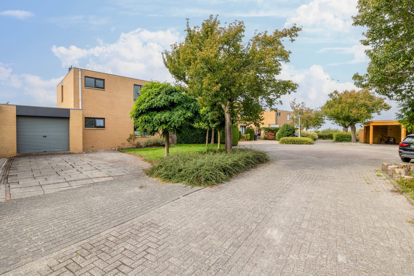 Foto 40 van Groenpootruiter 59