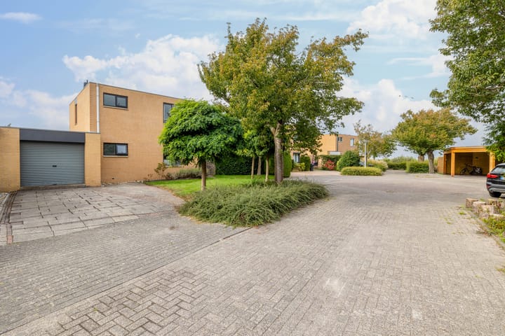 Foto 40 van Groenpootruiter 59