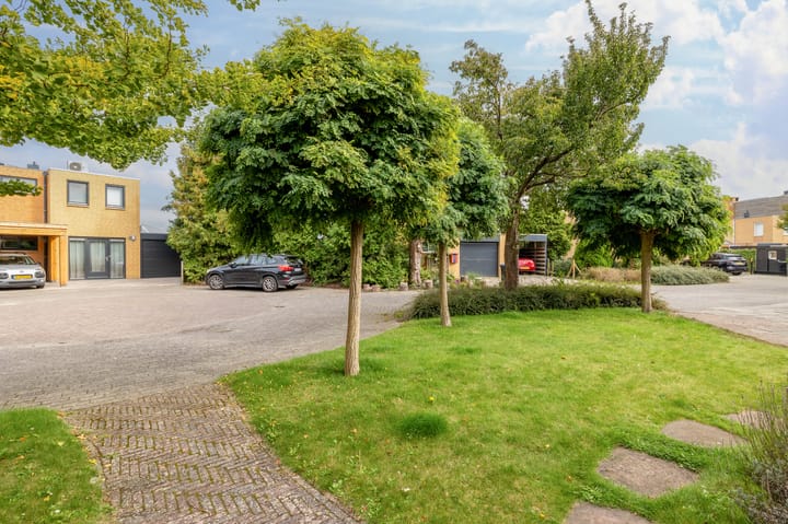 Foto 41 van Groenpootruiter 59