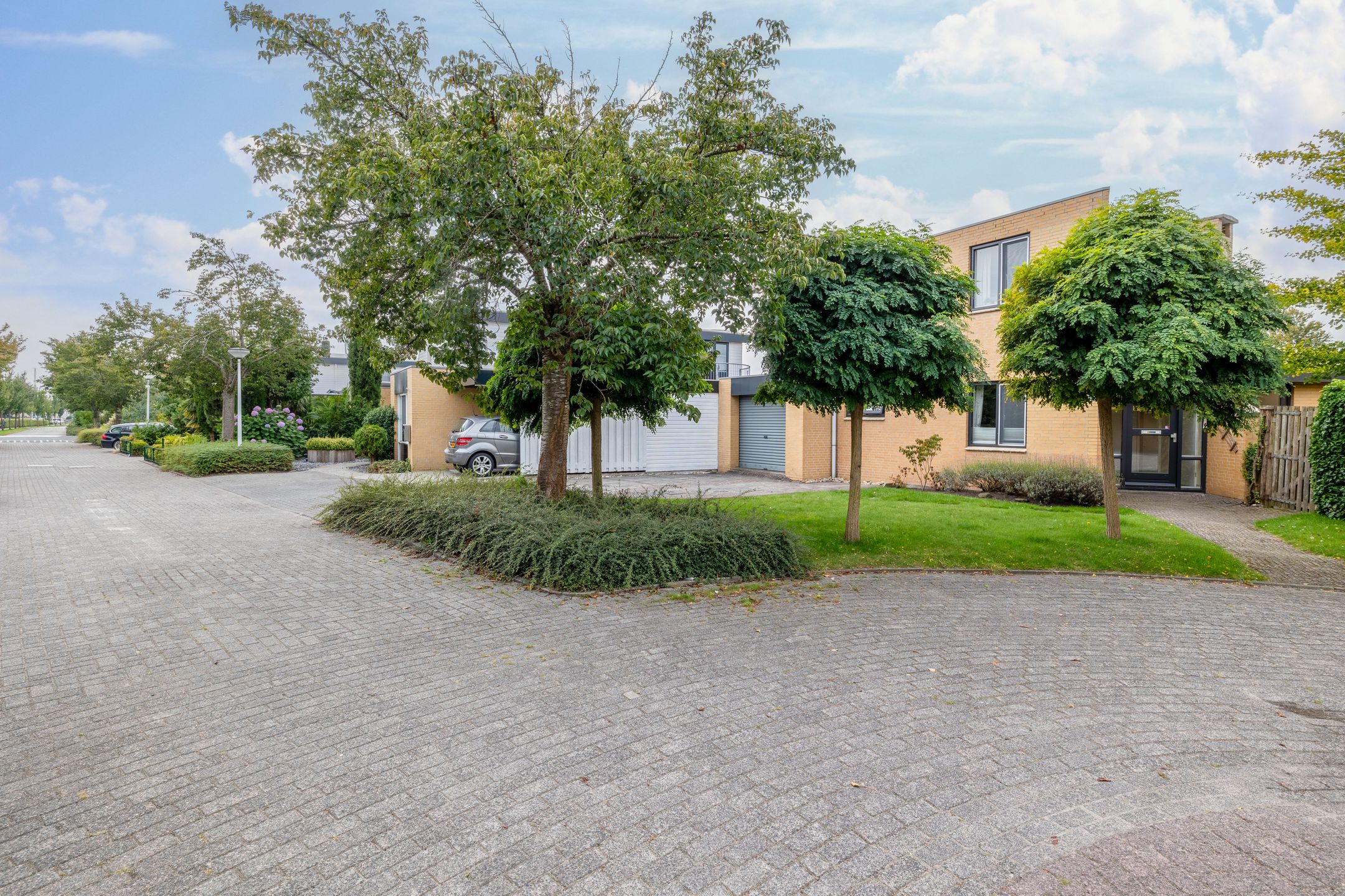 Foto 42 van Groenpootruiter 59