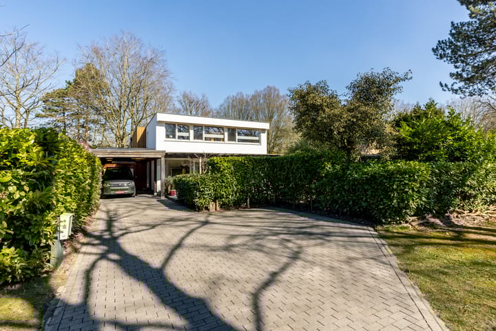 Foto 6 van Chloralaan 6