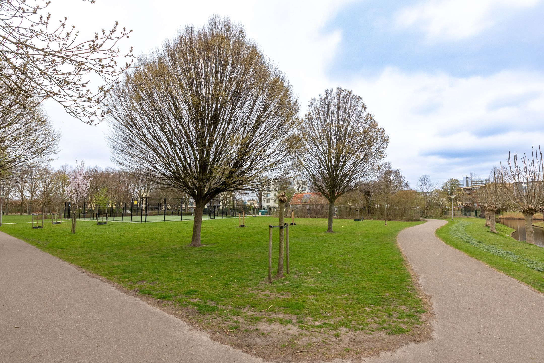 Foto 36 van Aalbersestraat 26