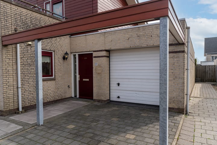 Foto 2 van Richter 37