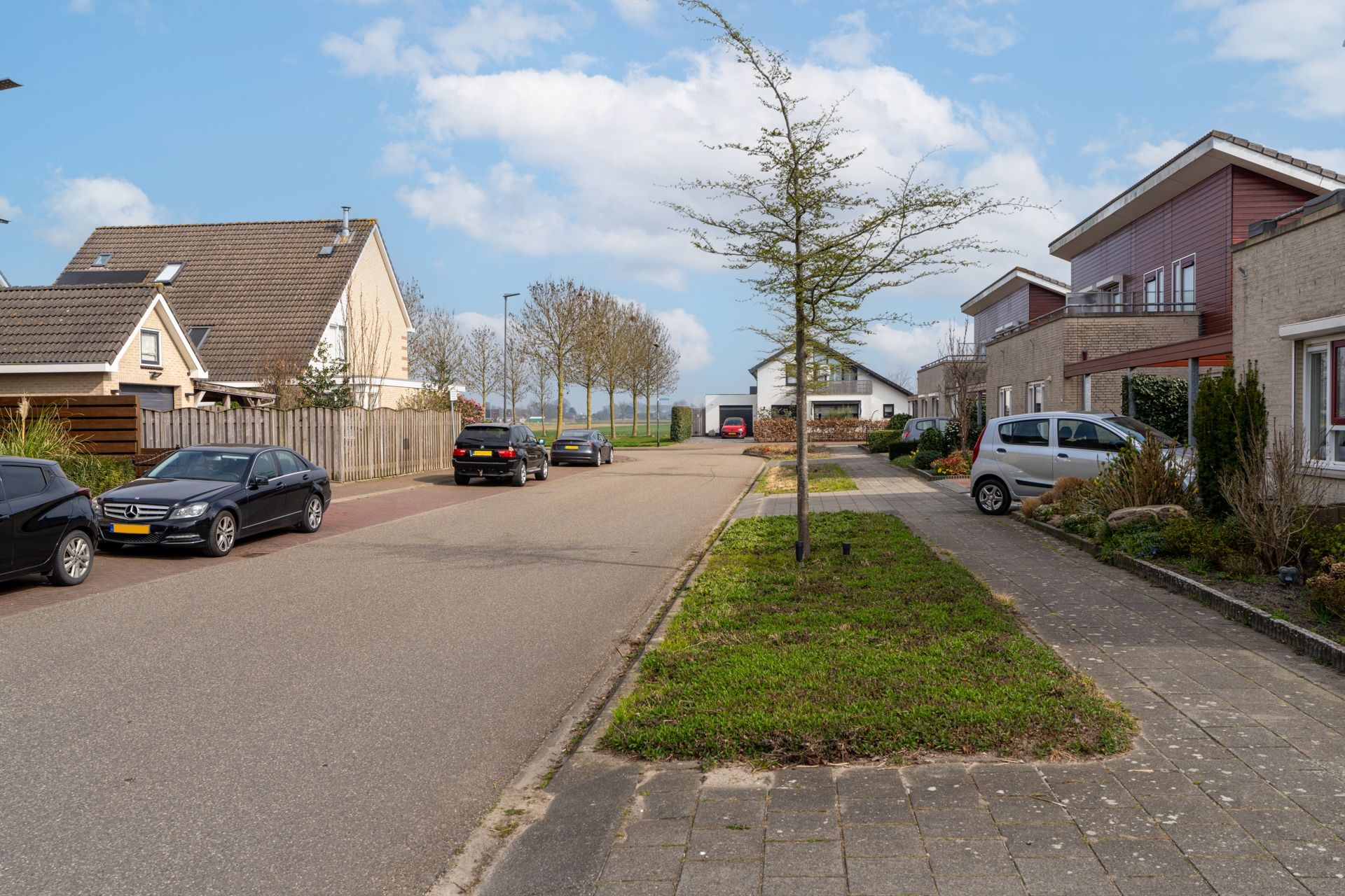 Photo 3 of Richter 37