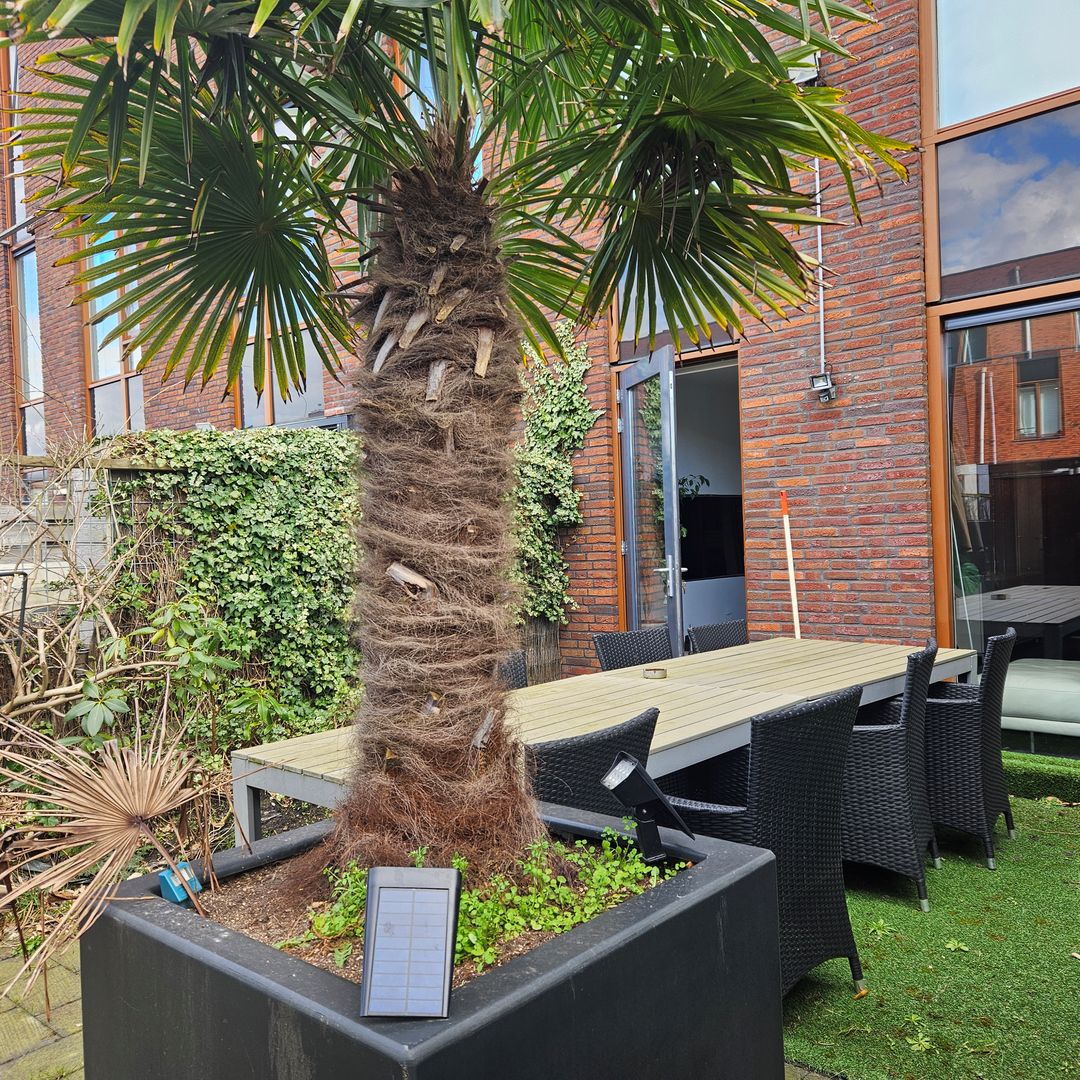 Foto 16 van Guntersteinweg 217