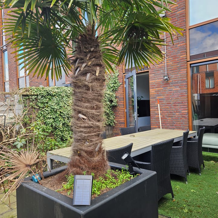 Foto 16 van Guntersteinweg 217