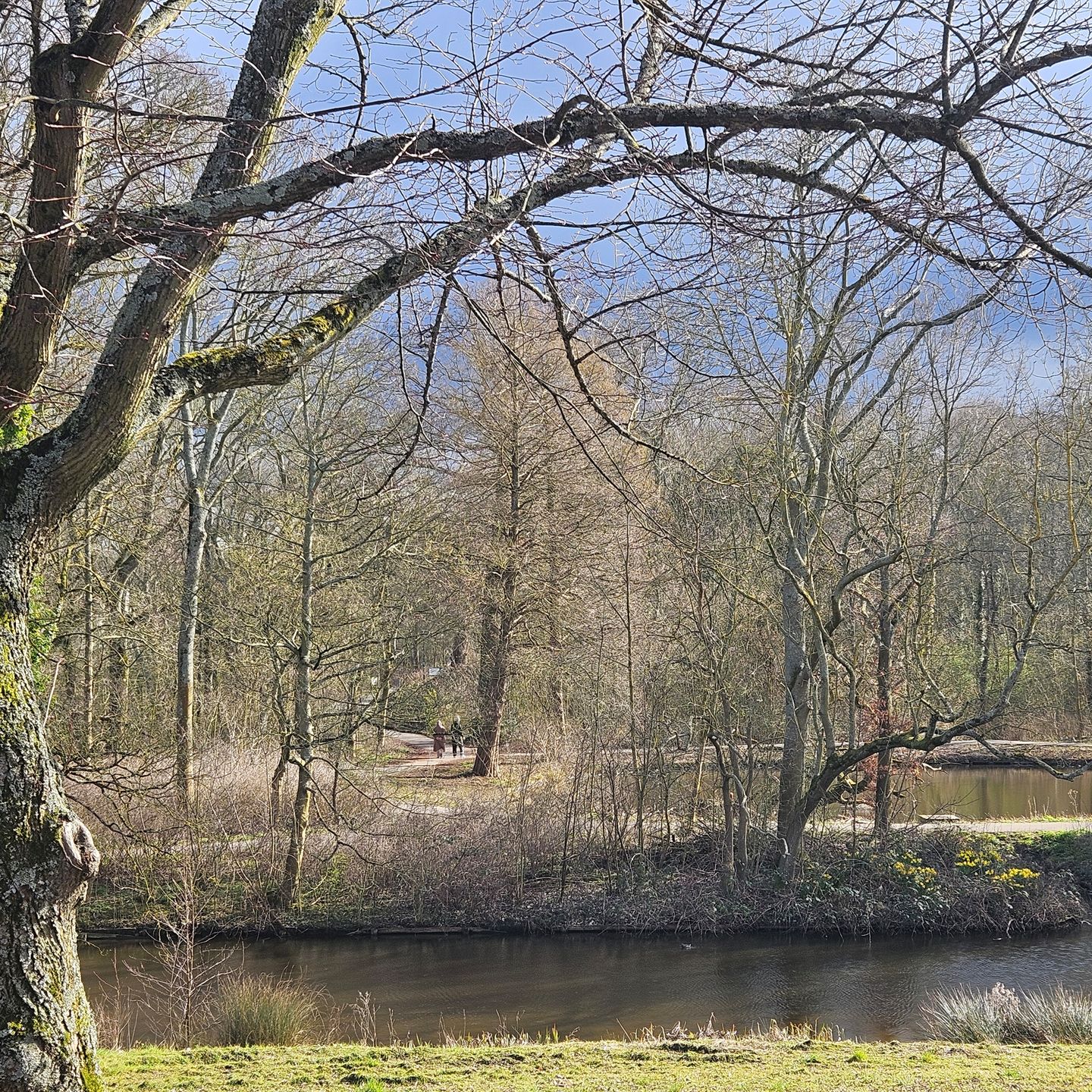 Foto 29 van Guntersteinweg 217