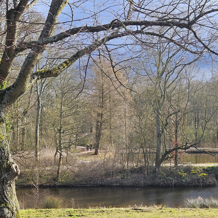 Foto 29 van Guntersteinweg 217