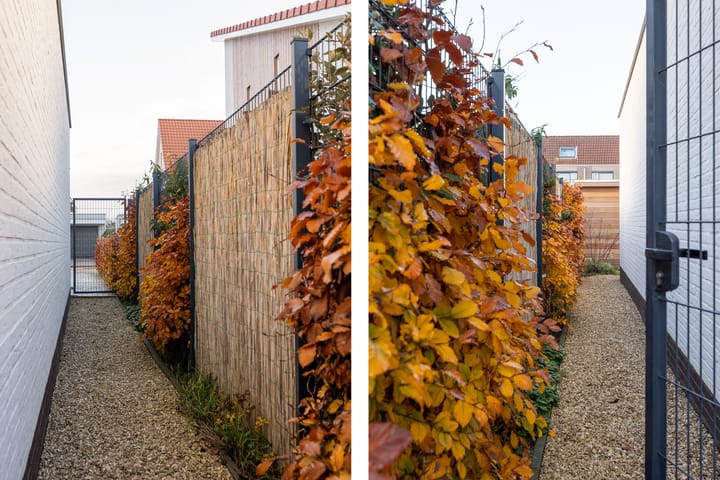 Foto 29 van Minstreellaan 9