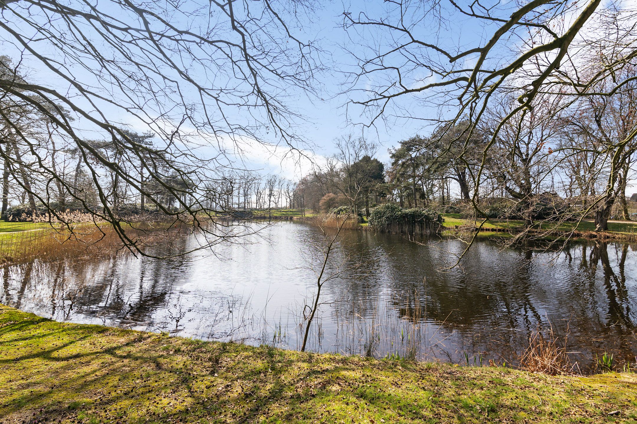 Foto 36 van It Sein 24