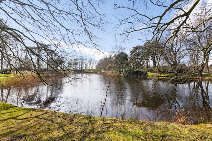 Foto 36 van It Sein 24