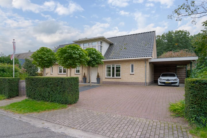 undefined main image