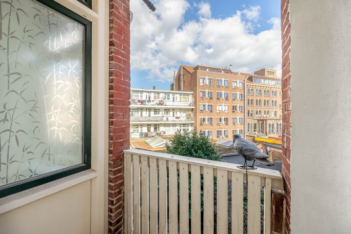 Foto 14 van Willem Buytewechstraat 233-A