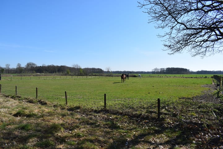 Photo 3 of Schoonloërweg 7