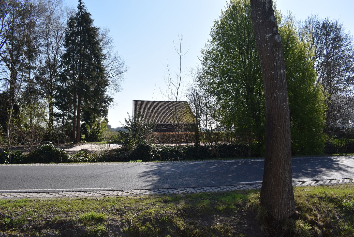 Photo 4 of Schoonloërweg 7