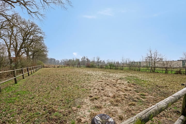 Photo 39 of Molenweg 49