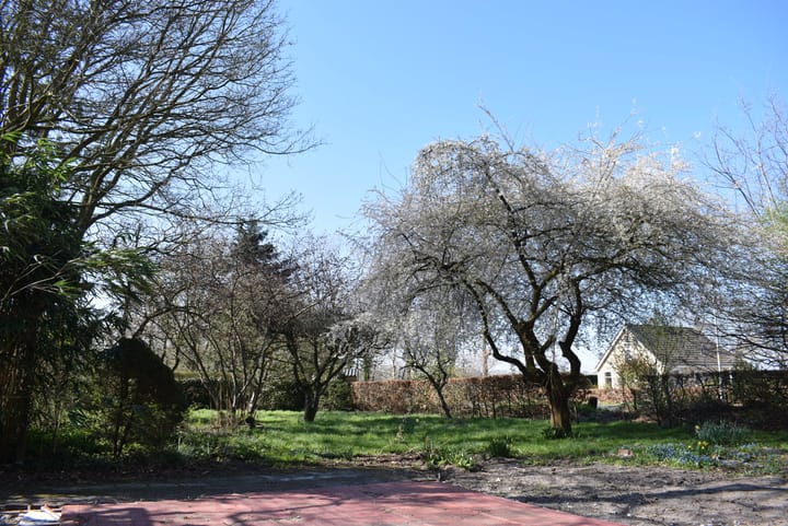 Photo 7 of Schoonloërweg 7