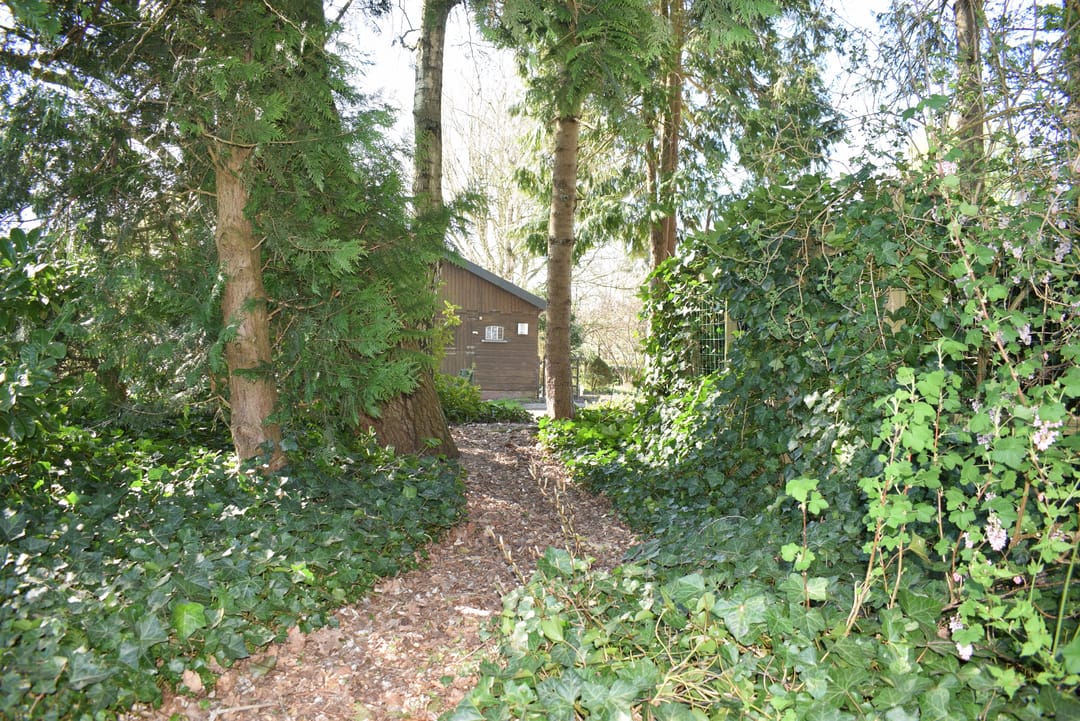 Photo 16 of Schoonloërweg 7
