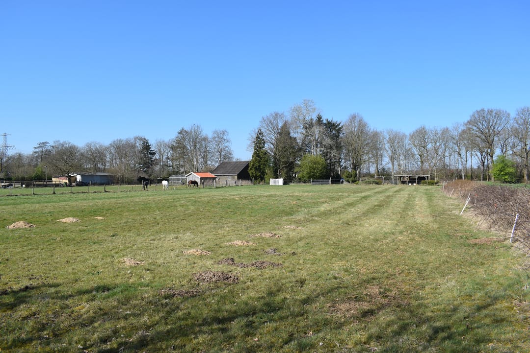 Photo 17 of Schoonloërweg 7
