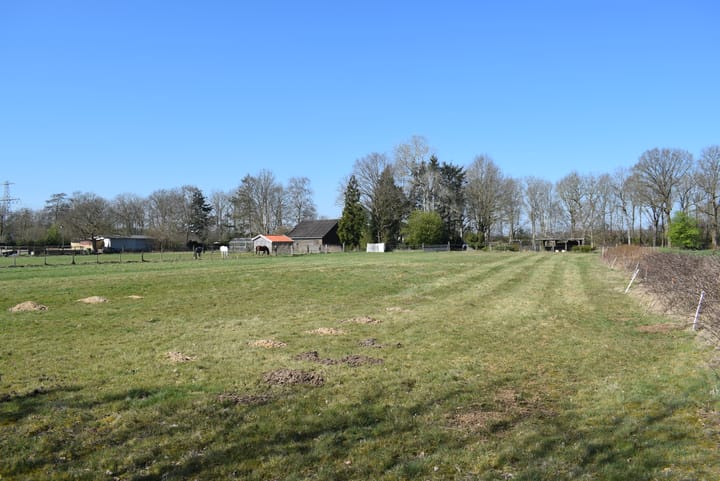 Photo 17 of Schoonloërweg 7