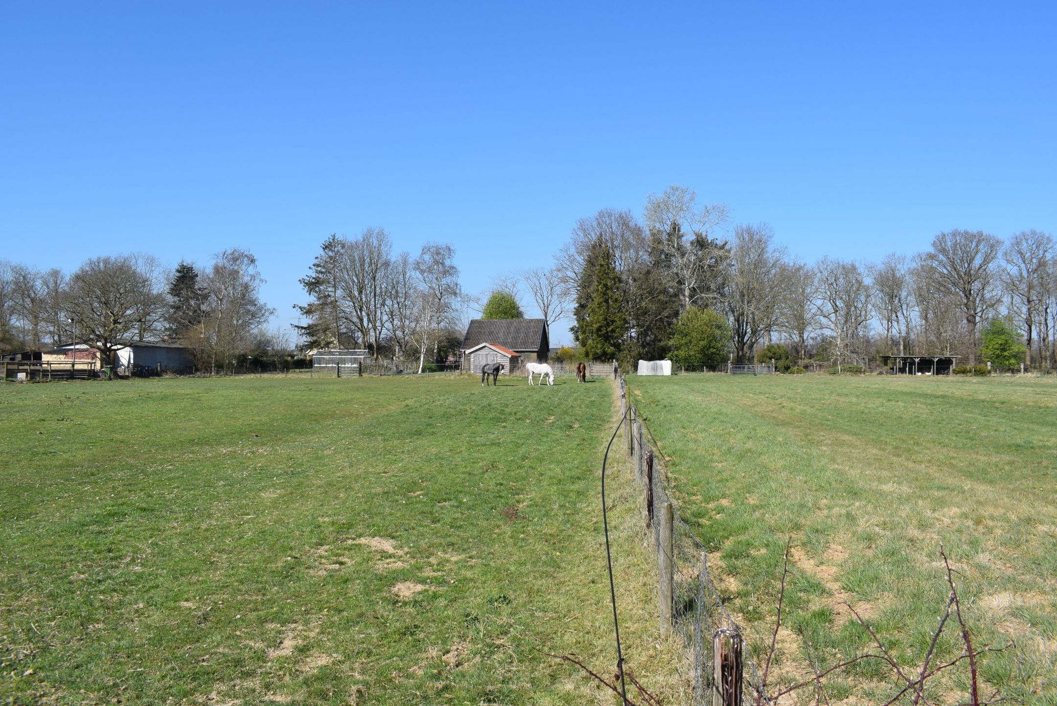 Photo 18 of Schoonloërweg 7