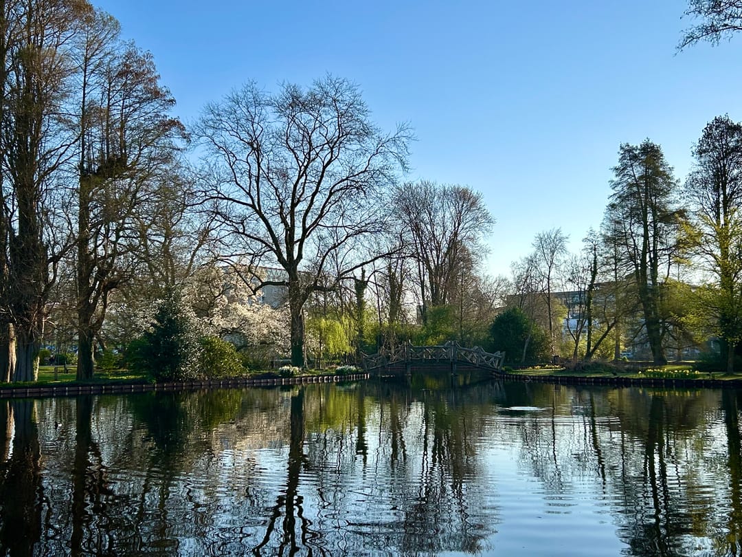 Foto 53 van van Bergen IJzendoornpark 33